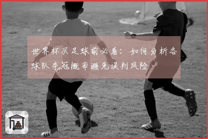 世界杯买足球前必看：如何分析各球队夺冠概率避免误判风险