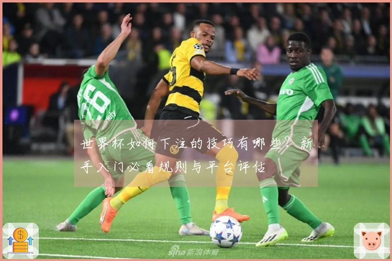 世界杯如何下注的技巧有哪些？新手入门必看规则与平台评估