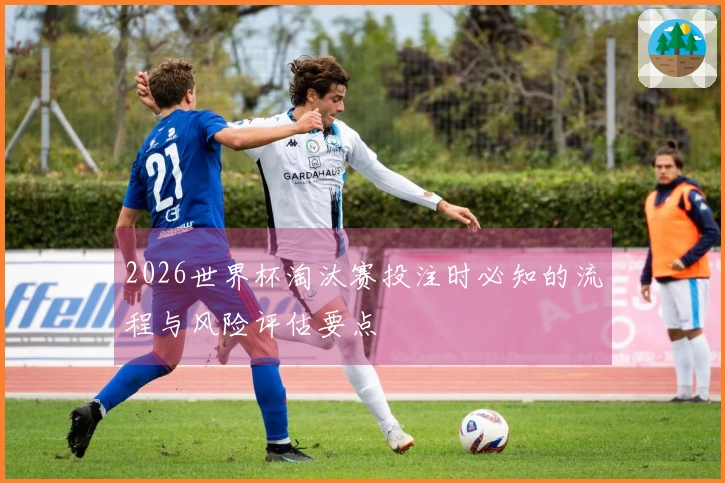 2026世界杯淘汰赛投注时必知的流程与风险评估要点