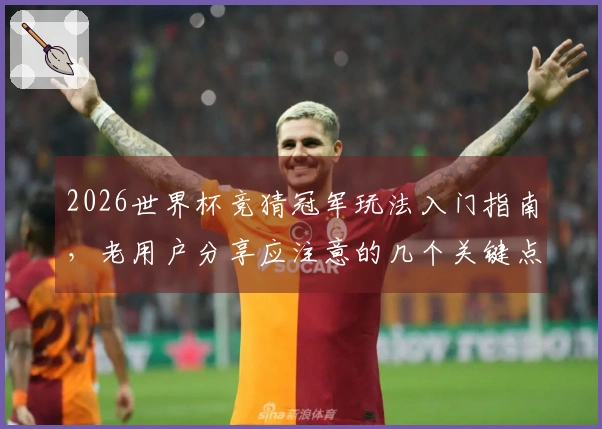2026世界杯竞猜冠军玩法入门指南，老用户分享应注意的几个关键点