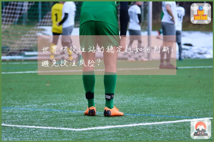 世界杯投注站的稳定性如何判断，避免投注风险？