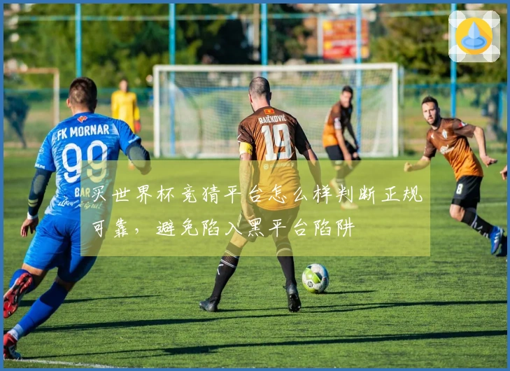 买世界杯竞猜平台怎么样判断正规可靠，避免陷入黑平台陷阱